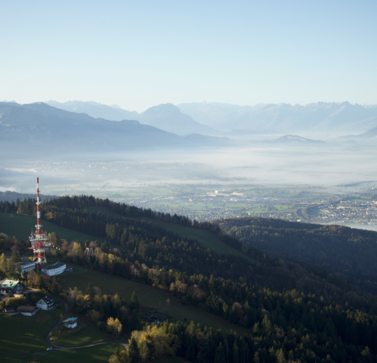_MG_2828